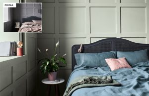 sikkens paletta care