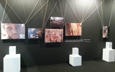 MissioneColore: FEL per il Sociale