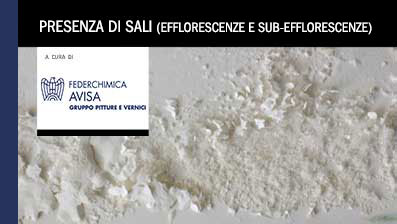 Presenza di sali (efflorescenze e sub efflorescenze)