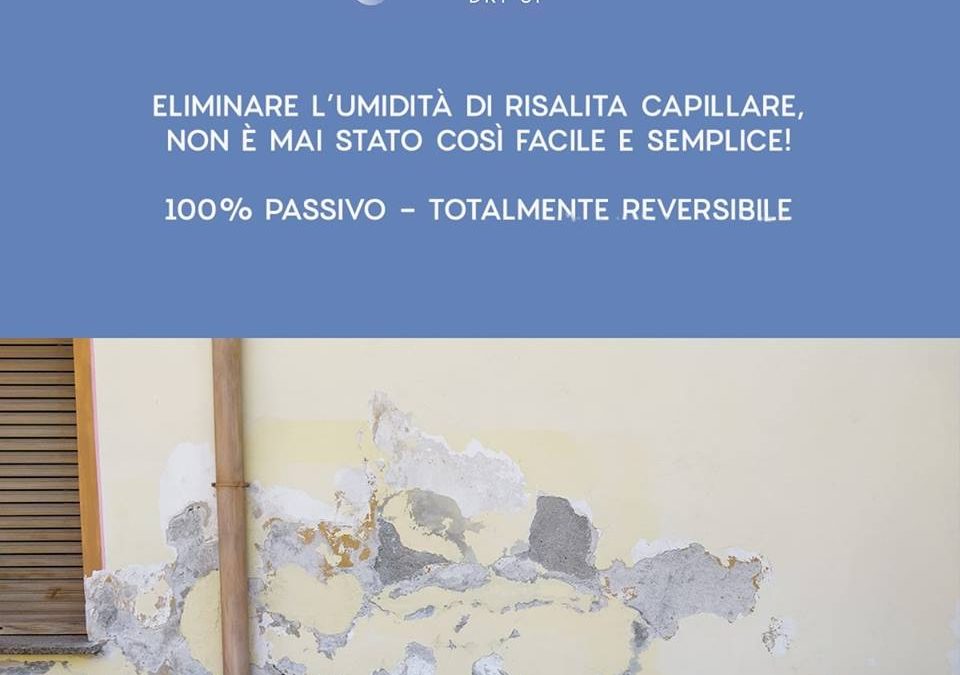 Atena al FEL con Dry Up contro i muri umidi