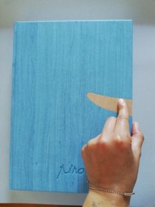 libro pinocchio iacc